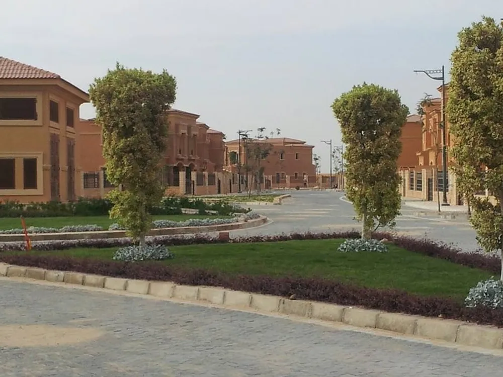 رويال ميدوز